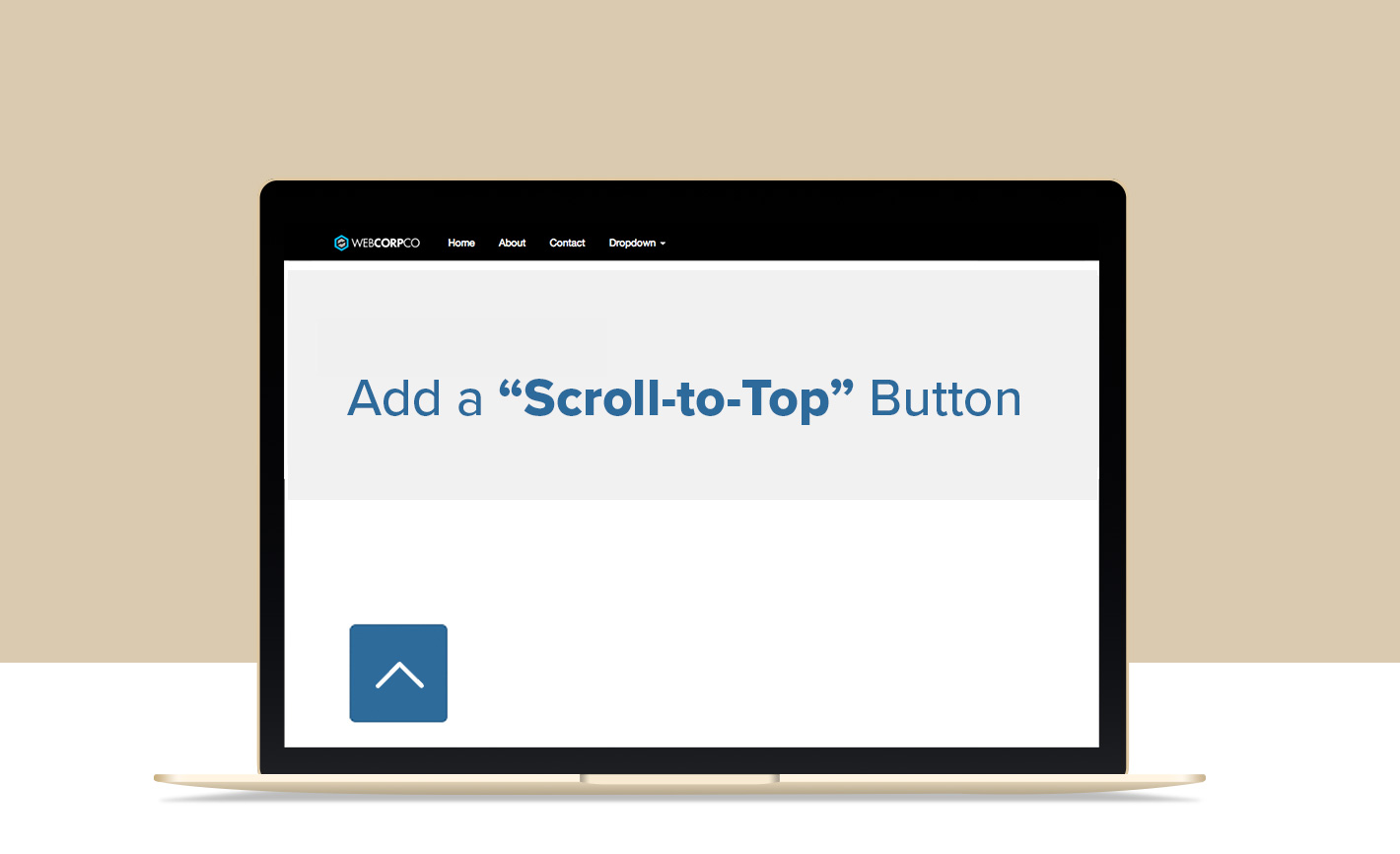 Add a Scroll to Top Button